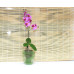 Горшок для орхидеи из стекла  «№4 алебастр  зеленый»