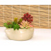 Кашпо для цветов керамическое  «Бонсай рапан» бежевое